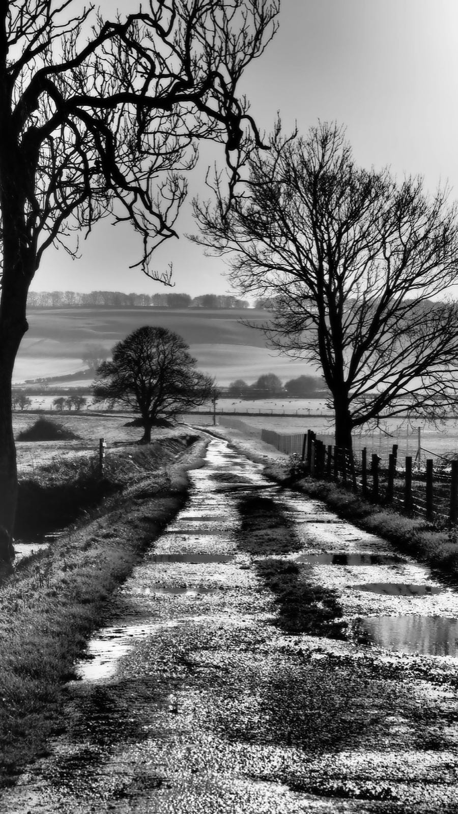 Path across the South Downs
