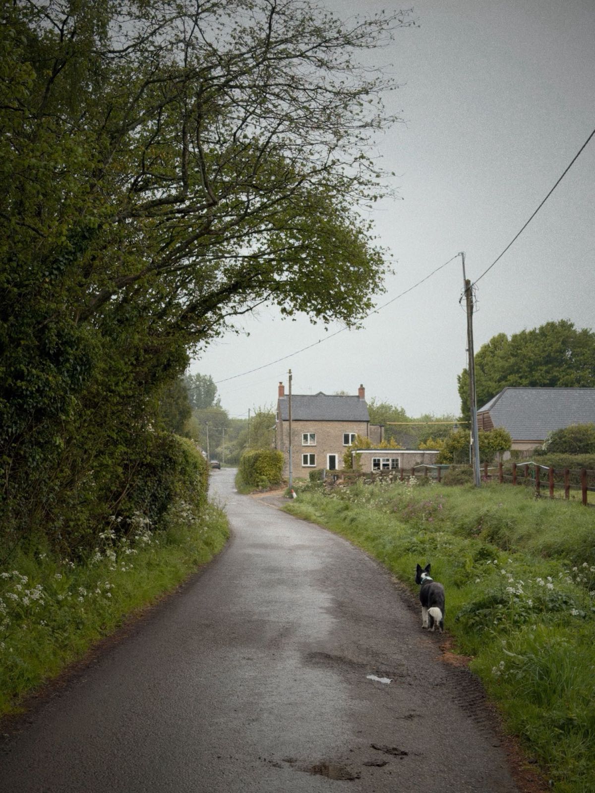 Quiet English country lane with cottages